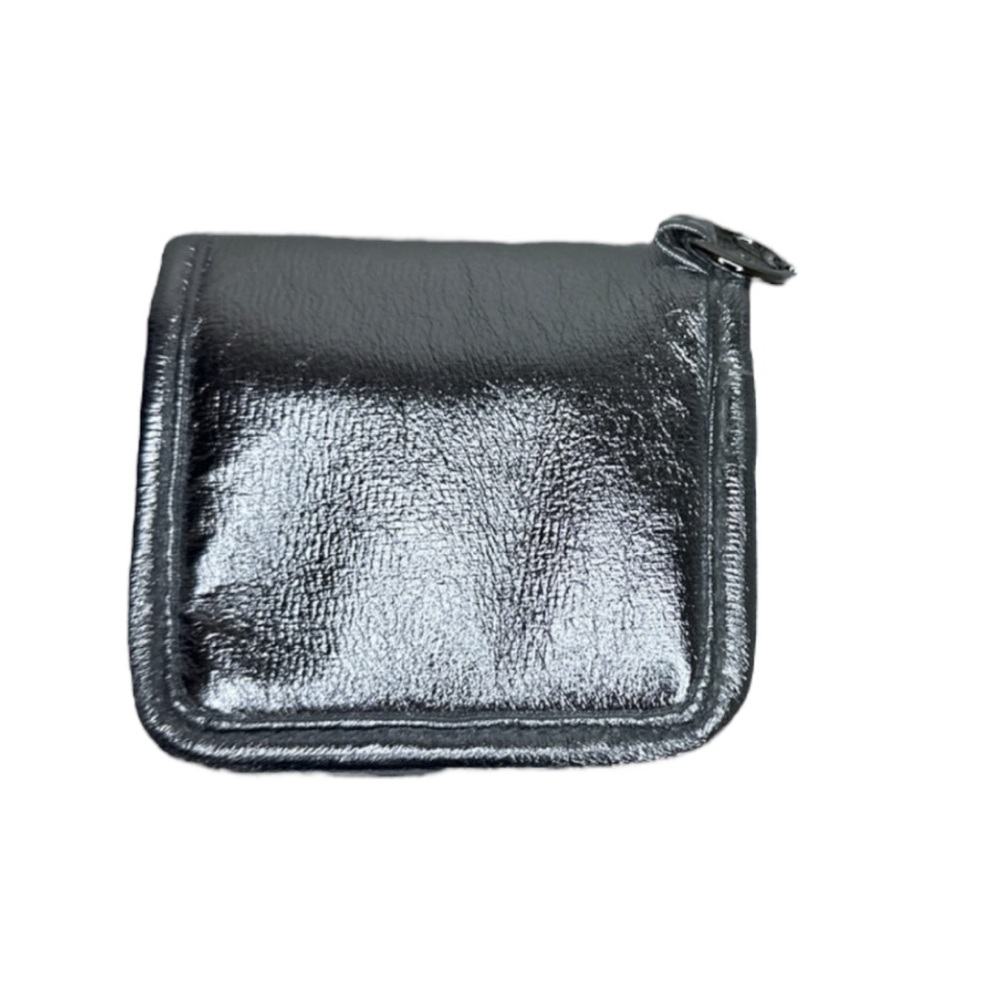 Women’s NWOT Wild Fable Silver Metallic  Jewelry Organizer for Travel